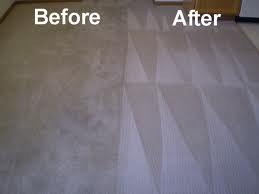 Charlotte Carpet Cleaning Services, LLC